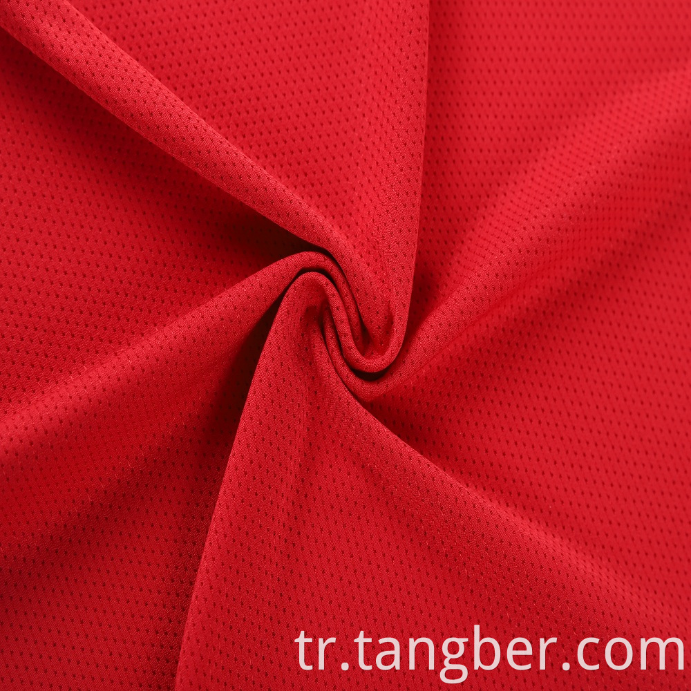 Polyester Mesh Fabric